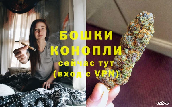 стаф Бородино