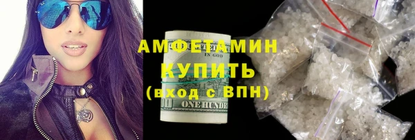 прущие грибы Бронницы