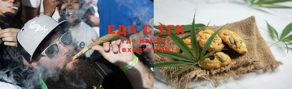 стаф Бородино