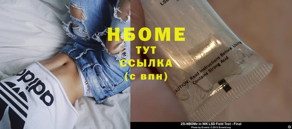 стаф Бородино
