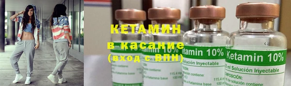 прущие грибы Бронницы