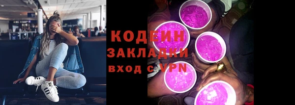 стаф Бородино