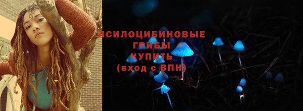 стаф Бородино