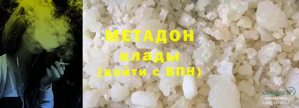 прущие грибы Бронницы