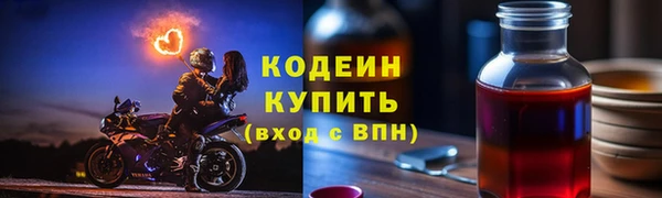 прущие грибы Бронницы