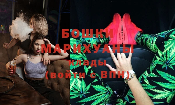 прущие грибы Бронницы