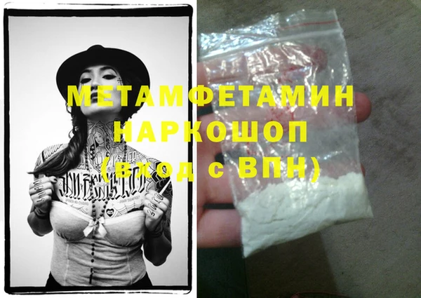 прущие грибы Бронницы