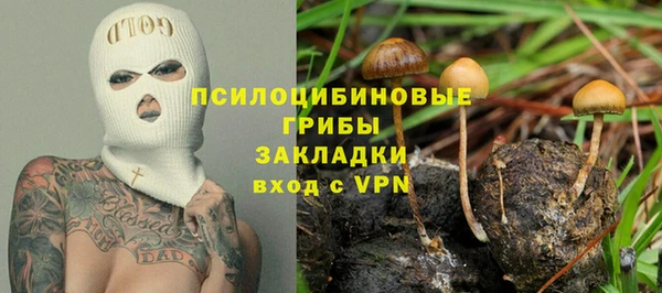 стаф Бородино