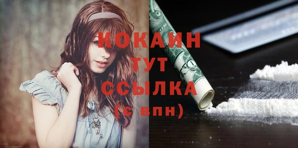 прущие грибы Бронницы